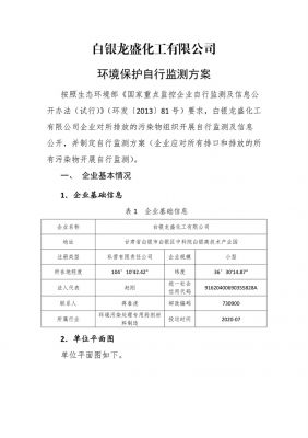 白银龙盛化工有限公司环境保护自行监测方案